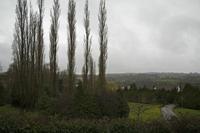 Cjp_2013_04_10_064516.jpg