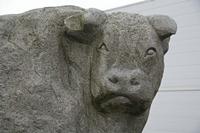 Cjp_2013_04_10_075912.jpg
