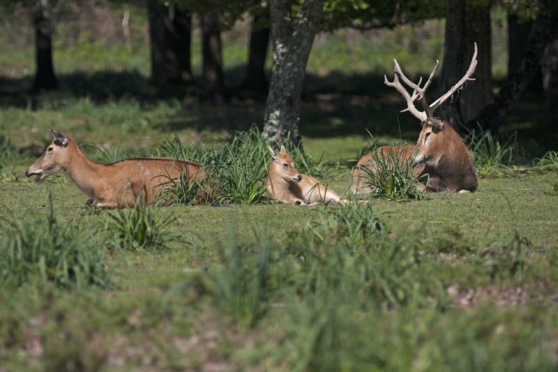 Cjp_2013_06_04_084410.jpg