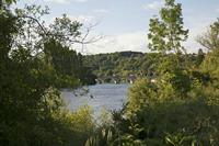 Cjp_2013_06_03_174320.jpg