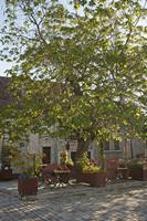 Cjp_2013_06_04_054256.jpg