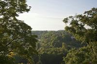 Cjp_2013_06_04_054342.jpg