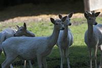 Cjp_2013_06_04_083548.jpg