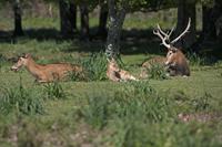 Cjp_2013_06_04_084410.jpg