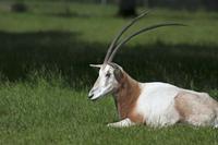 Cjp_2013_06_04_084618.jpg