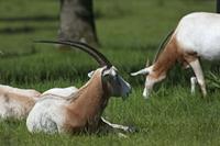 Cjp_2013_06_04_084628.jpg