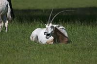 Cjp_2013_06_04_084634.jpg