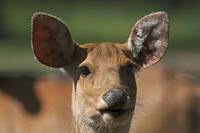Cjp_2013_06_04_085018.jpg