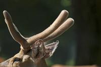 Cjp_2013_06_04_085028.jpg