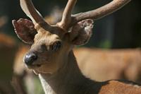 Cjp_2013_06_04_085040.jpg