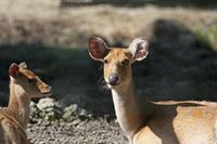 Cjp_2013_06_04_085052.jpg