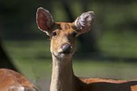 Cjp_2013_06_04_085100.jpg