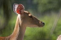Cjp_2013_06_04_085116.jpg