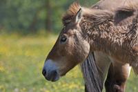 Cjp_2013_06_04_085940.jpg