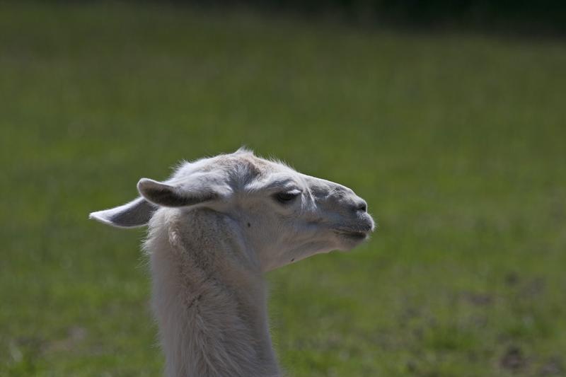 Cjp_2013_06_04_104428.jpg