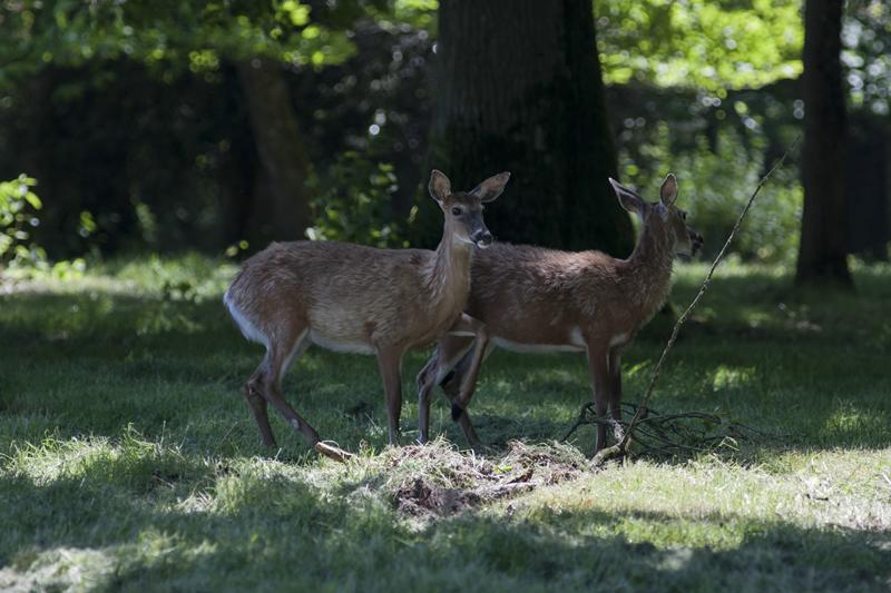 Cjp_2013_06_04_110138.jpg