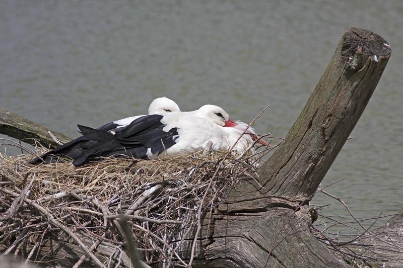 Cjp_2013_06_04_125132.jpg