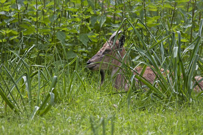 Cjp_2013_06_04_133118.jpg