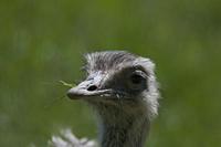 Cjp_2013_06_04_104118.jpg