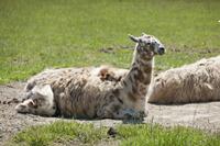 Cjp_2013_06_04_104416.jpg