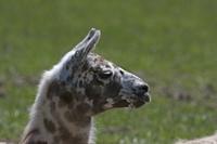 Cjp_2013_06_04_104422.jpg