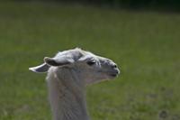 Cjp_2013_06_04_104428.jpg