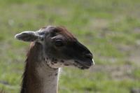 Cjp_2013_06_04_104434.jpg
