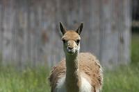 Cjp_2013_06_04_104954.jpg