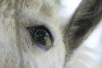 Cjp_2013_06_04_105346.jpg
