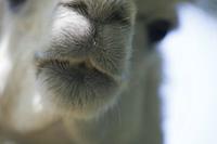 Cjp_2013_06_04_105550.jpg