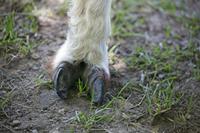 Cjp_2013_06_04_105630.jpg
