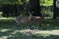 Cjp_2013_06_04_110138.jpg