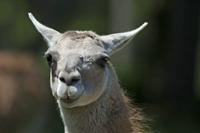 Cjp_2013_06_04_112348.jpg