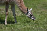 Cjp_2013_06_04_112420.jpg