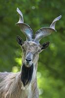 Cjp_2013_06_04_114614.jpg