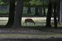 Cjp_2013_06_04_115544.jpg