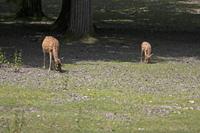 Cjp_2013_06_04_120234.jpg