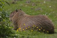 Cjp_2013_06_04_122514.jpg