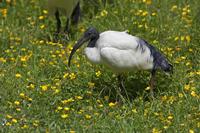 Cjp_2013_06_04_124716.jpg