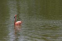 Cjp_2013_06_04_124748.jpg