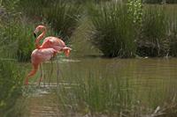 Cjp_2013_06_04_124754.jpg