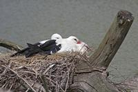 Cjp_2013_06_04_125132.jpg