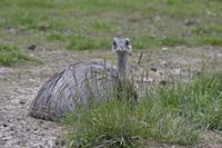 Cjp_2013_06_04_130618.jpg