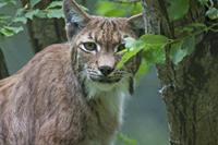 Cjp_2013_06_04_135040.jpg
