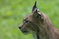 Cjp_2013_06_04_135126.jpg