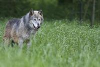 Cjp_2013_06_04_140042.jpg