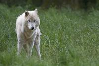 Cjp_2013_06_04_140728.jpg