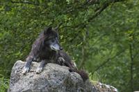 Cjp_2013_06_04_140816.jpg