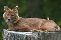 Cjp_2013_06_04_141642.jpg