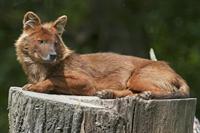 Cjp_2013_06_04_141658.jpg